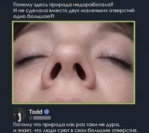 Почему здесь природа недоработала? И не сделала вместо двух маленьких отверстий одно большое?!
Todd: Потому что природа как раз таки не дура, и знает, что люди суют в свои большие отверстия.