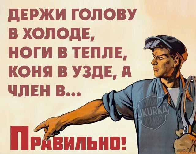 ДЕРЖИ ГОЛОВУ В ХОЛОДЕ, НОГИ В ТЕПЛЕ, КОНЯ В УЗДЕ, А ЧЛЕН В... Правильно!
