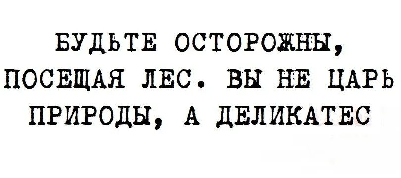 БУДЬТЕ ОСТОРОЖНЫ, ПОСЕЩАЯ ЛЕС. ВЫ НЕ ЦАРЬ ПРИРОДЫ, А ДЕЛИКАТЕС