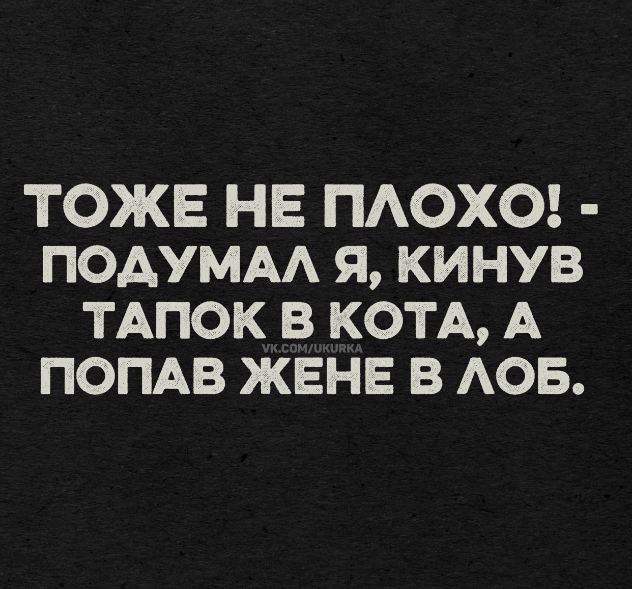 ТОЖЕ НЕ ПЛОХО! - ПОДУМАЛ Я, КИНУВ ТАПОК В КОТА, А ПОПАВ ЖЕНЕ В ЛОБ.