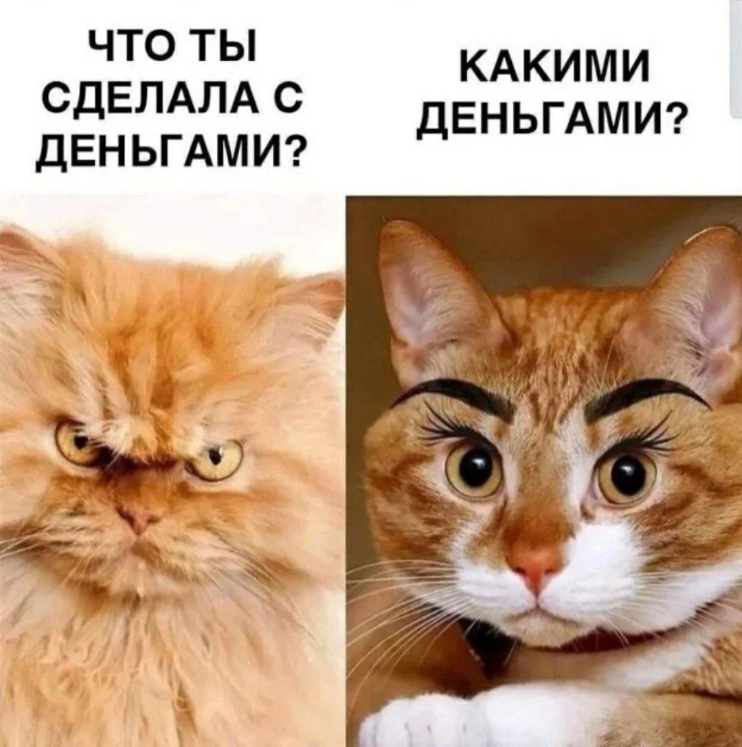 ЧТО ТЫ СДЕЛАЛА С ДЕНЬГАМИ?
КАКИМИ ДЕНЬГАМИ?