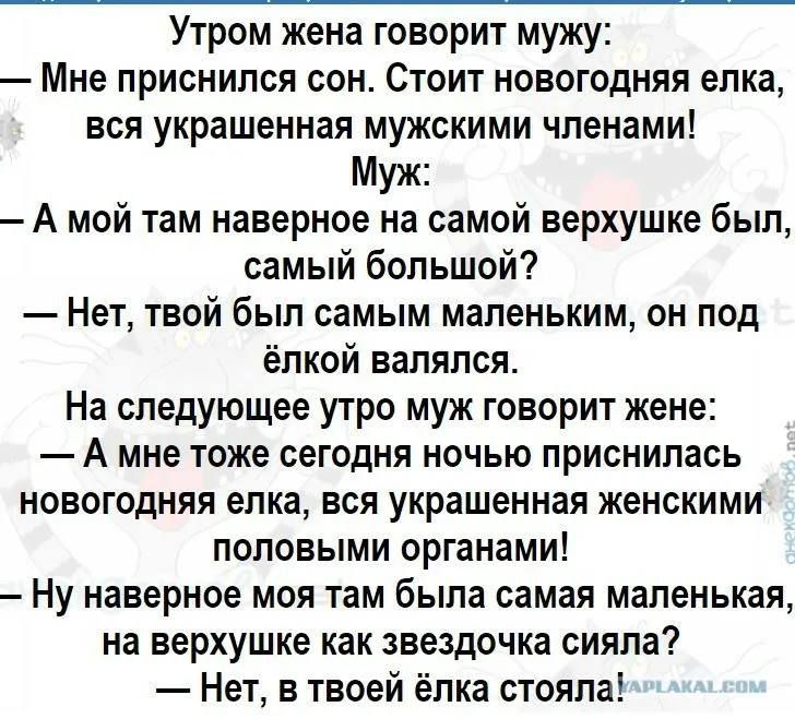 Утром жена говорит мужу: — Мне приснился сон. Стоит новогодняя елка, вся украшенная мужскими членами! Муж: — А мой там наверно на самой верхушке был, самый большой! — Нет, твой был самым маленьким, он под ёлкой валялся. На следующее утро муж говорит жене: — А мне тоже сегодня ночью приснилась новогодняя ёлка, вся украшенная женскими половыми органами! Ну наверно моя там была самая маленькая, на верхушке как звездочка сияла? — Нет, в твоей ёлке стояла!
