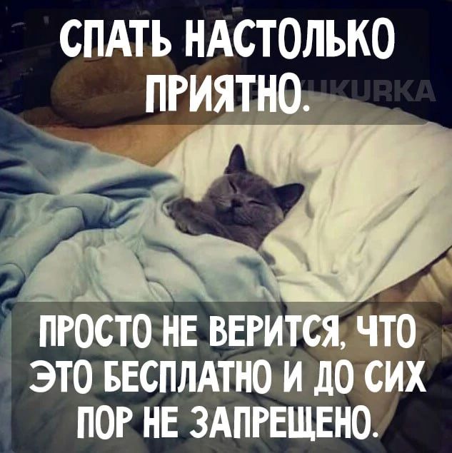 СПАТЬ НАСТОЛЬКО ПРИЯТНО.
ПРОСТО НЕ ВЕРИТСЯ, ЧТО ЭТО БЕСПЛАТНО И ДО СИХ ПОР НЕ ЗАПРЕЩЕНО.