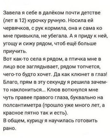 Завела я себе в далёком почти детстве (лет в 12) курочку ручную. Носила ей червячков, с рук кормила, она и сама ко мне привикла, не убежала. А я приду к ней, угощу и сяду рядом, чтоб ещё больше приучить. Вот как-то села я рядом, а птичка мне в лицо все заглядывает, рядом топчется, чего-то вроде хочет. Да как клюн в глаз! Благo, прямо в эту секунду я решила наклониться... клюв воткнулся мне чуть правее правого глаза, на полсантиметра. В общем, курицу я научилась готовить рано.