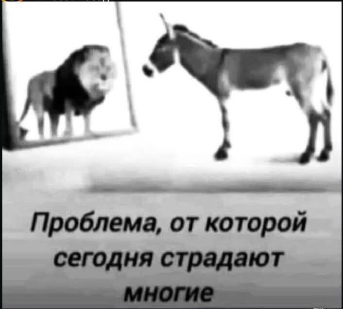 Проблема, от которой сегодня страдают многие