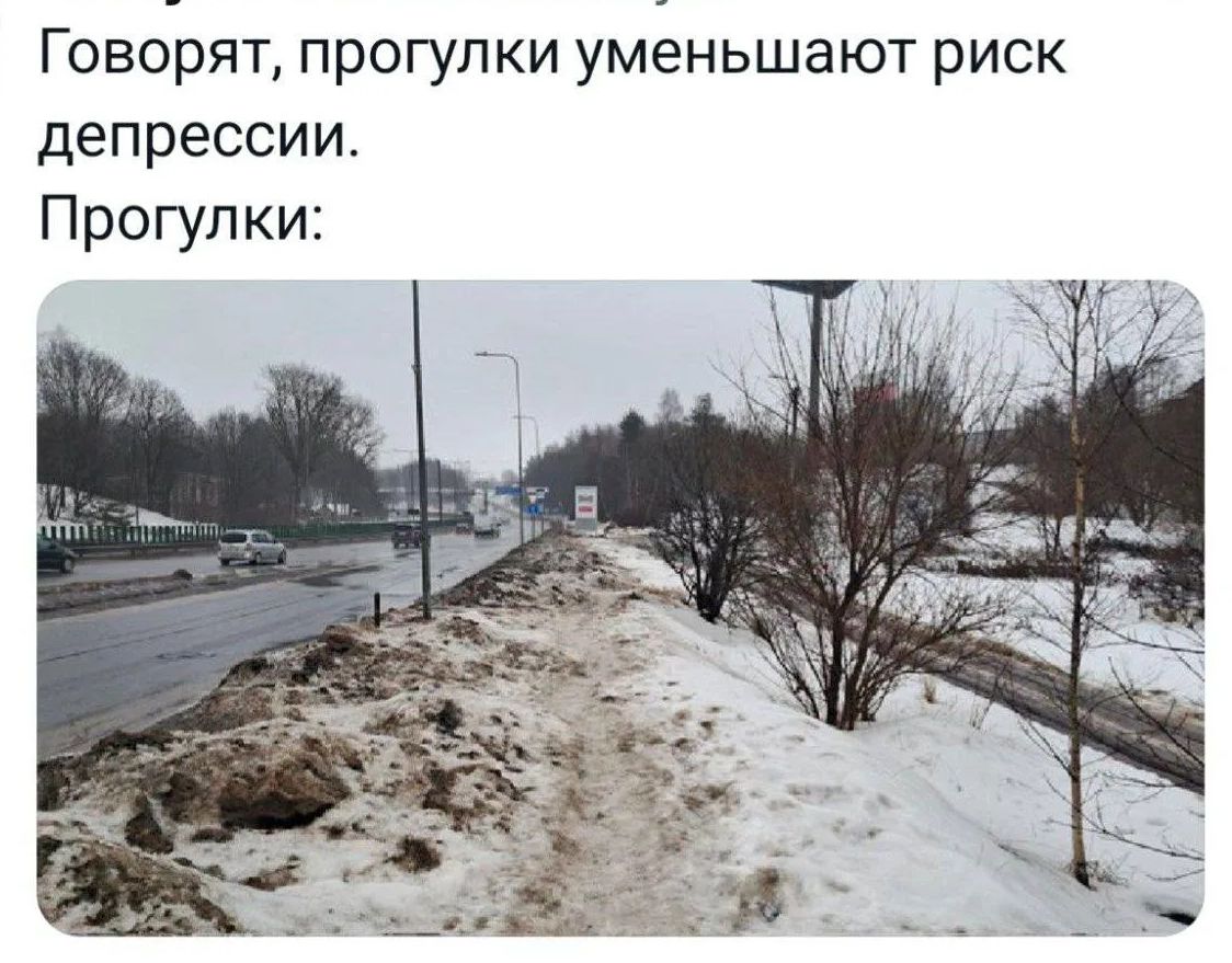 Говорят, прогулки уменьшают риск депрессии. Прогулки: