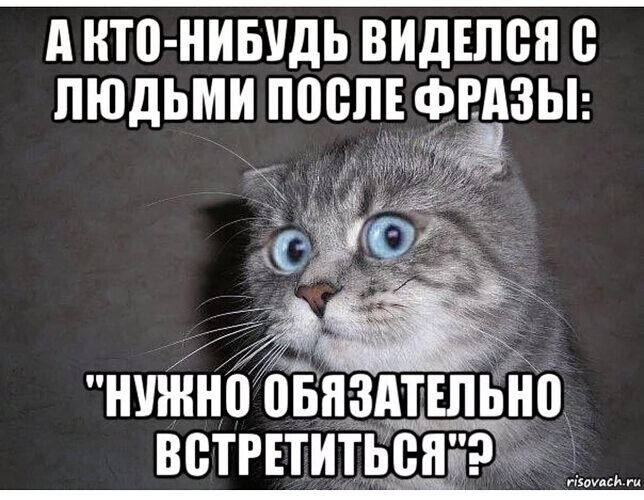 А КТО-НИБУДЬ ВИДЕЛСЯ С ЛЮДЬМИ ПОСЛЕ ФРАЗЫ: 
