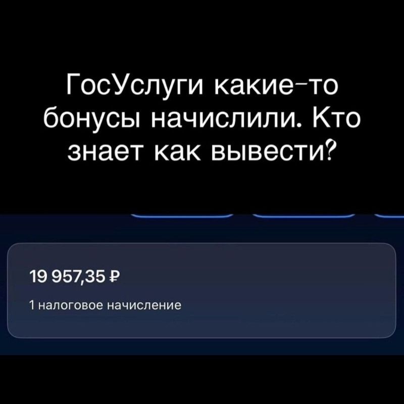 Госуслуги какие-то бонусы начислили. Кто знает как вывести? 19 957,35 ₽ 1 налоговое начисление
