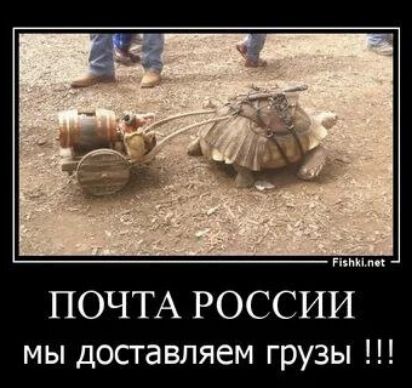 ПОЧТА РОССИИ мы доставляем грузы !!!