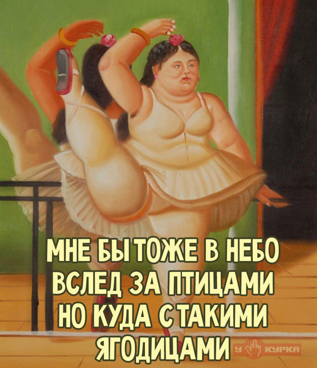 МНЕ БЫ ТОЖЕ В НЕБО ВСЛЕД ЗА ПТИЦАМИ НО КУДА С ТАКИМИ ЯГОДИЦАМИ