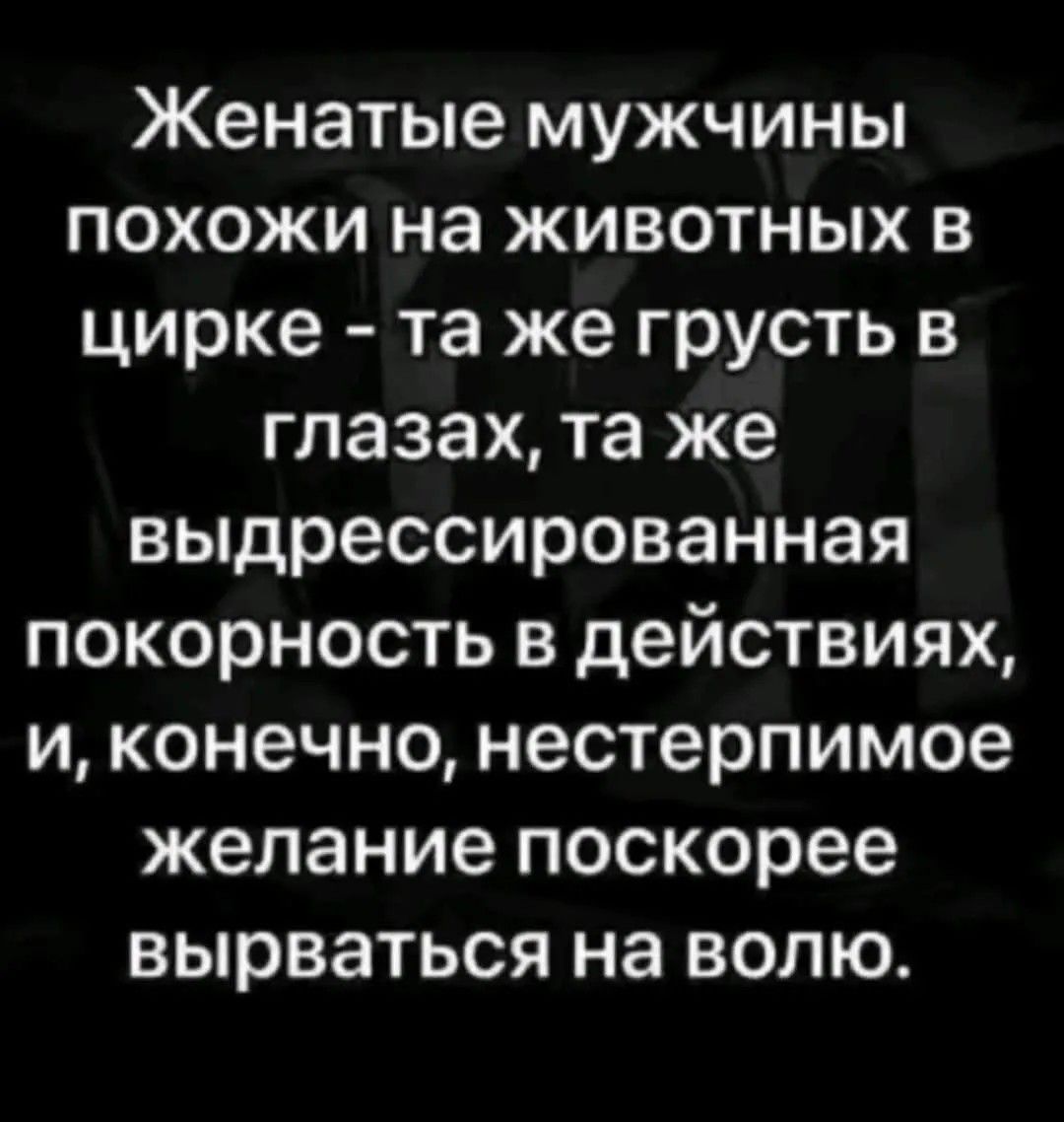 Женатые мужчины похожи на животных в цирке - та же грусть в глазах, та же выдрессированная покорность в действиях, и, конечно, нестерпимое желание поскорее вырваться на волю.