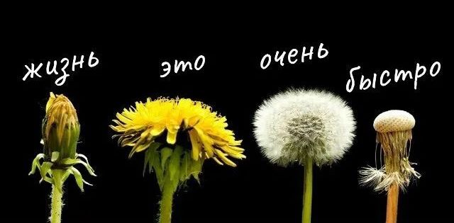 жизнь это очень быстро