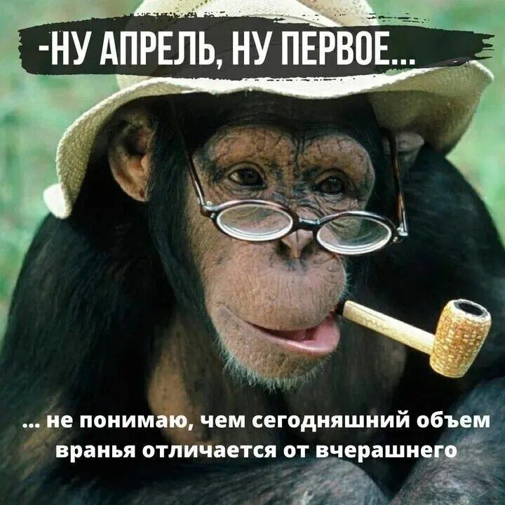 НУ АПРЕЛЬ, НУ ПЕРВОЕ... не понимаю, чем сегодняшний объем вранья отличается от вчерашнего