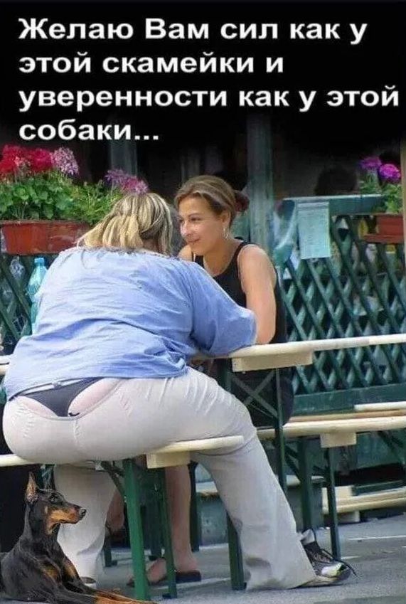 Желаю Вам сил как у этой скамейки и уверенности как у этой собаки...