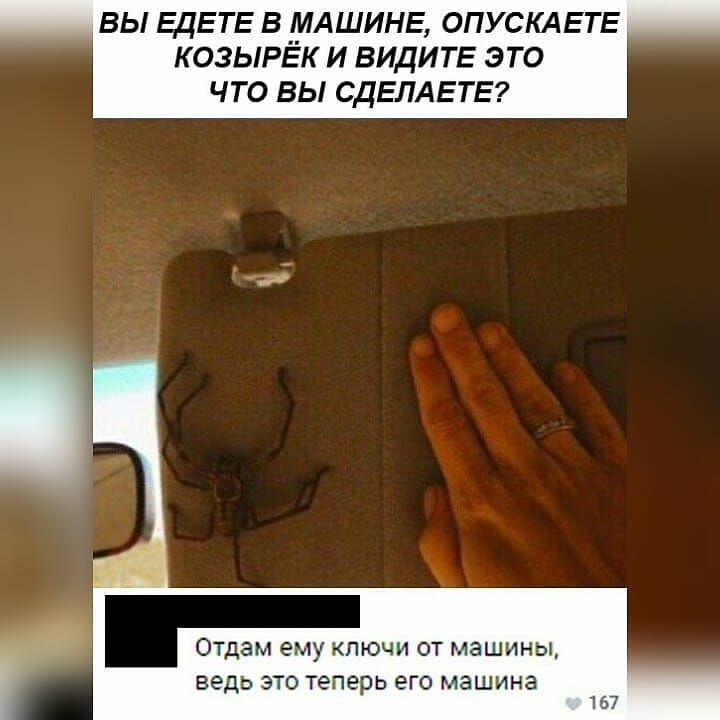 ВЫ ЕДЕТЕ В _МАШИНЕ ОПУСКАЕТЕ КОЗЫРЕК И ВИДИТЕ ЭТО Ч ТО ВЫ СДЕЛАЕ ТЕ ОТДЭМ ему КЛЮЧИ ОТ МЭШИНЫ ведь ЭТО теперь ЭГО машина