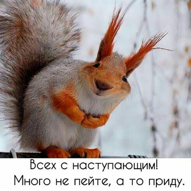 Всех с наступающим Много не пейте то приду
