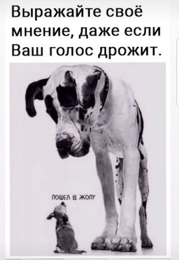 Выражайте своё мнение даже если Ваш голос дрожит