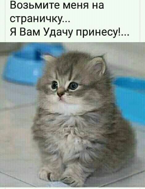 Возьмите меня на СТРЭНИЧКУ Я Вам Удачу принесу