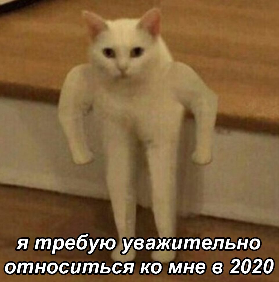 я требую уважительно относиться ко мне в 2020