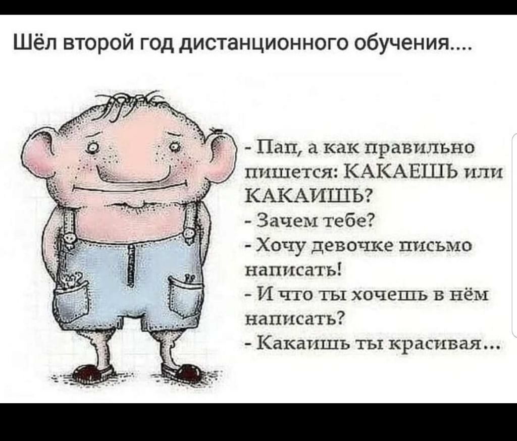_ Шёл второй год дистанционного обучения Пап а как правильно пишется КАКАЕШЬ или КАКАИШЬ Зачем тебе Хочу девочке письмо написать И что ты хочешь в нём написать Какапшъ ты красивая