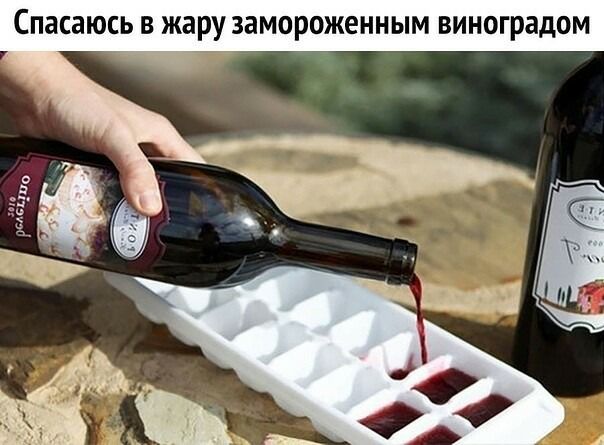 СПЗСЗЮСЬ В жару ЗаМОРОЖЕННЫМ виноградом