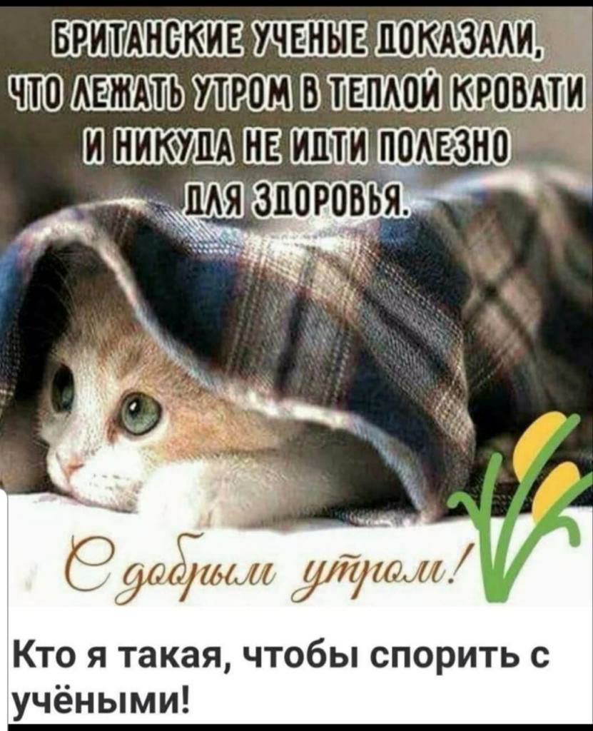Т Ёъ Кто я такая чтобы спорить с учёными