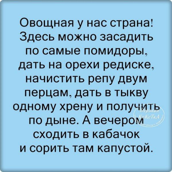 Овощная у нас страна Здесь можно засадить по самые помидоры дать на орехи редиске начистить репу двум перцам дать в тыкву одному хрену и получить по дыне А вечером сходить в кабачок и сорить там капустой