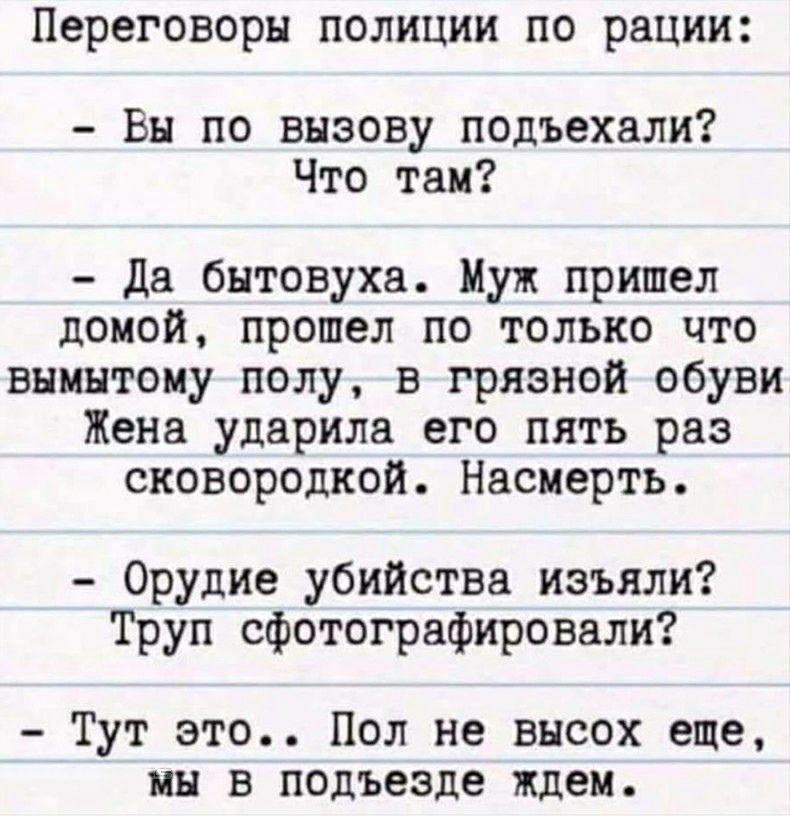 Переговоры полиции по рации Вы по вызову подъехали Что там да бытовуха Муж пришел домой прошел по только что внмнтому полу в грязной обуви Жена ударила его пять раз сковородкой Насмерть Орудие убийства изъяли Труп сфотографировали Тут это Пол не внсох еще мы в подъезде ждем