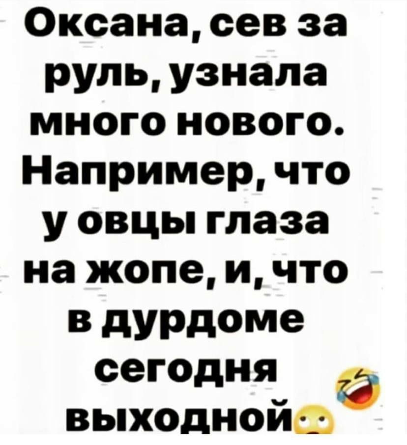 Оксана сев за руль узнала много нового Например что у овцы глаза на жопе и что В дУРдОМЭ сегодня выходнойш