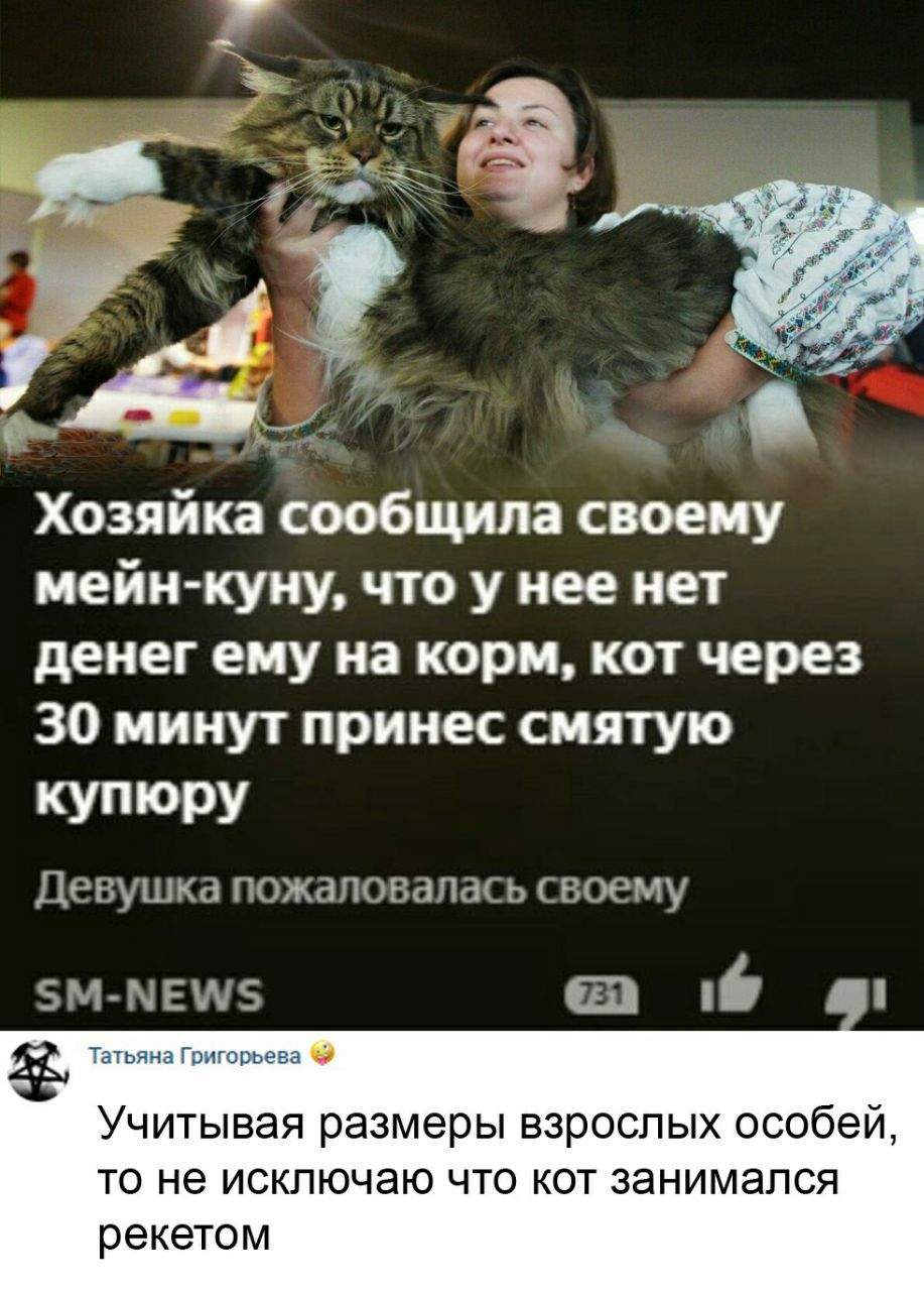 Хозяйка сообщила своему мейн куну что у нее нет денег ему на корм кот через 30 минут принес снятую кУТЮРУ Девушка ПОЖдПОВдЛаСЬ СВОЕМУ ЗММЕИЗ зть ыг Гы Учитывая размеры взрослых особей то не исключаю что кот занимался рекетом