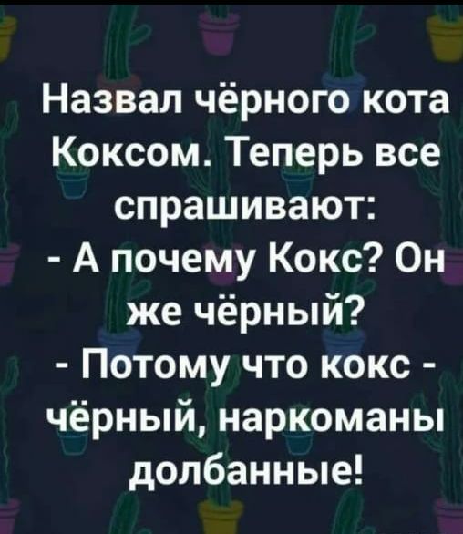 Назвал чёрного кота Коксом Теперь все спрашивают А почему Кокс Он же чёрный Потому что кокс чёрный наркоманы долбанные