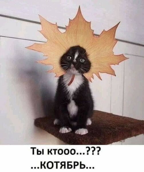 Ты ктооо КОТЯБРЬ