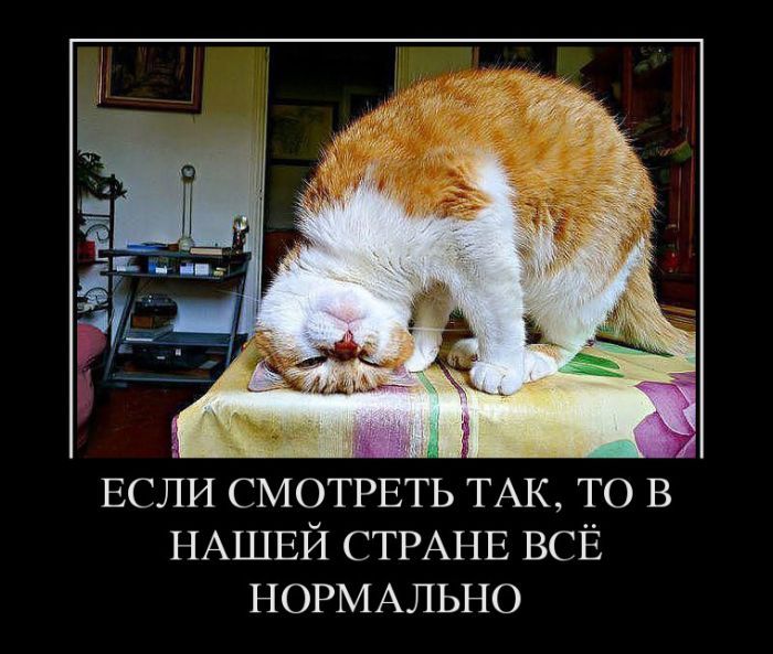 ЕСЛИ СМОТРЕТЬ ТАК ТО в НАШЕЙ СТРАНЕ ВСЁ НОРМАЛЬНО