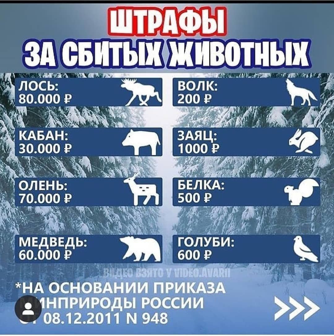 1З _ Л0СЬ 80 000 Р 30 000 РЖ ЁБЁг ЕЁоЁЕЁЬ жд 28391 НА ОСНОВАНИМ ПРИ А 1НПРИРОДЫ РОССИИ 0812 2011 М 948