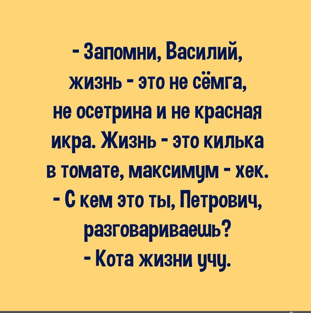 Запомни Василий жизнь это не сёмга не осетрина и не красная икра Жизнь это килька в томате максимчм хек с кем это ты Петрович разговариваешь Кота жизни цчц