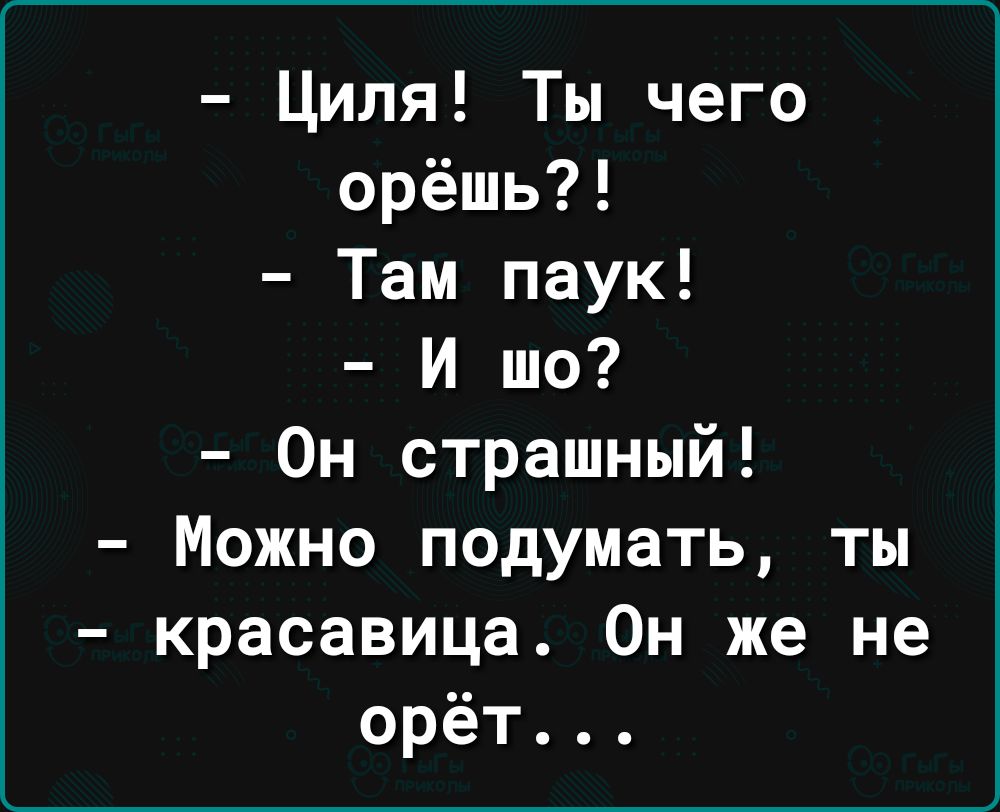 Циля Ты чего орёшь Там паук И шо Он страшный Можно подумать ты красавица Он же не орёт