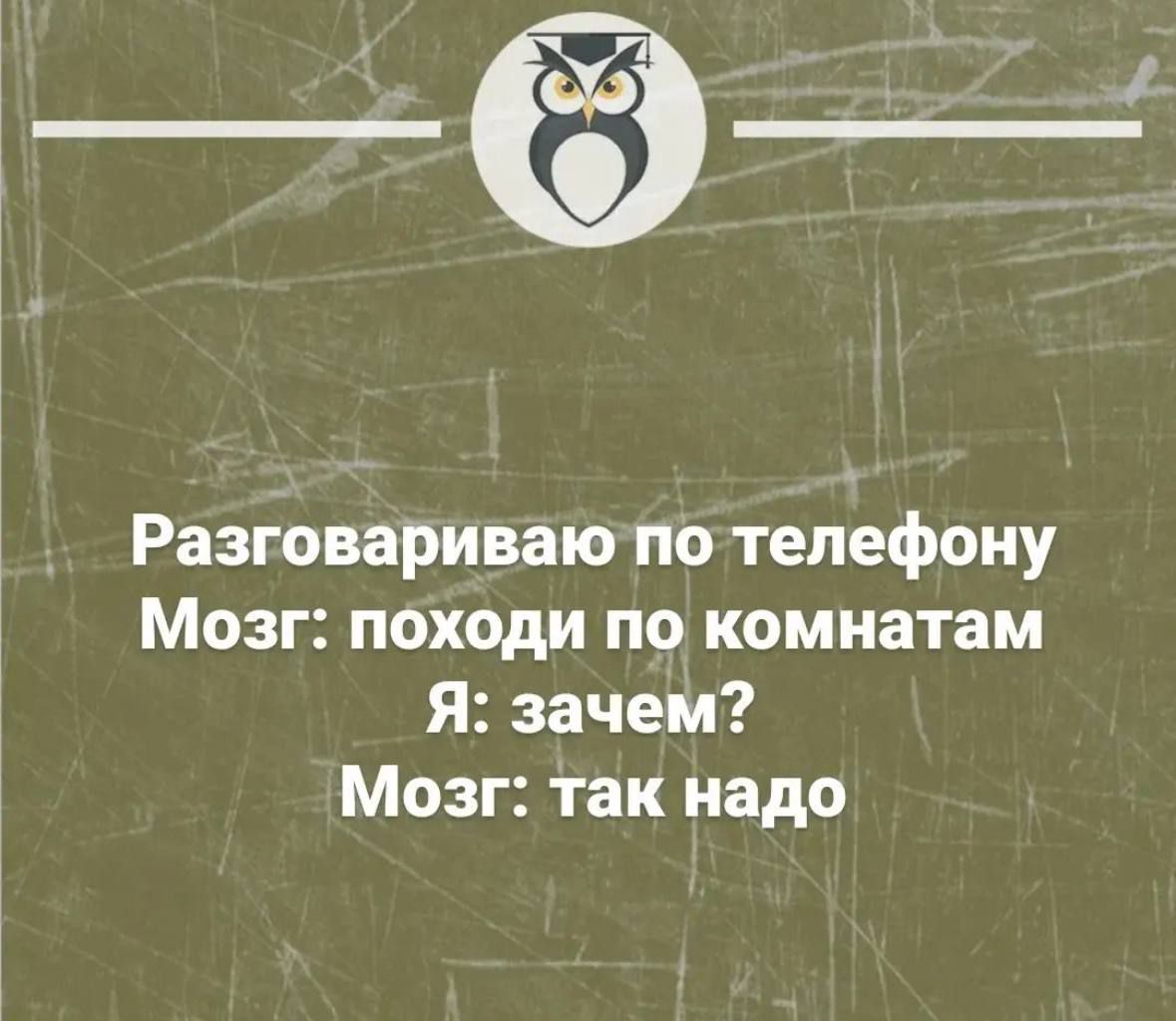 Разговариваю по телефону Мозг походи по комнатам Я зачем Мозг так надо