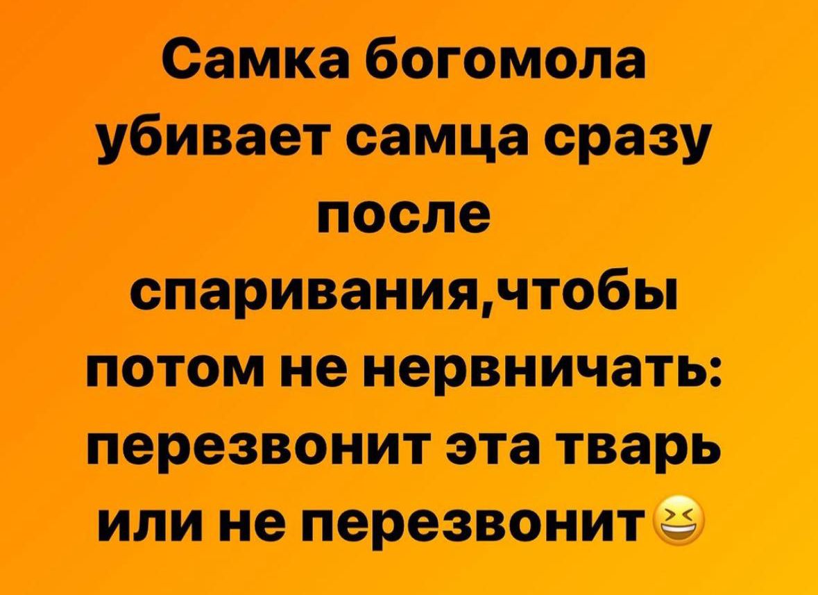 жшжп ити ими 9