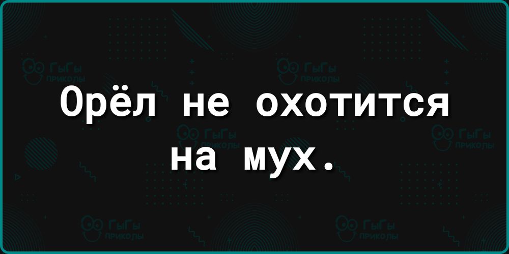 Орёл не охотится на мух