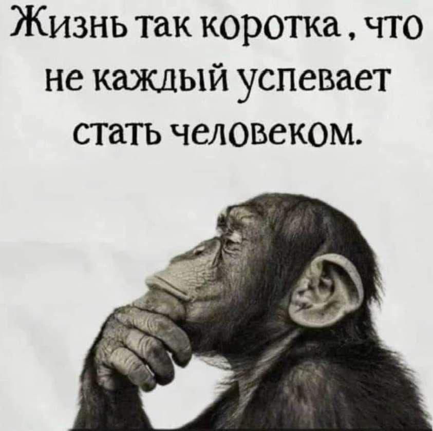 Жизнь так коротка, что не каждый успевает стать человеком.