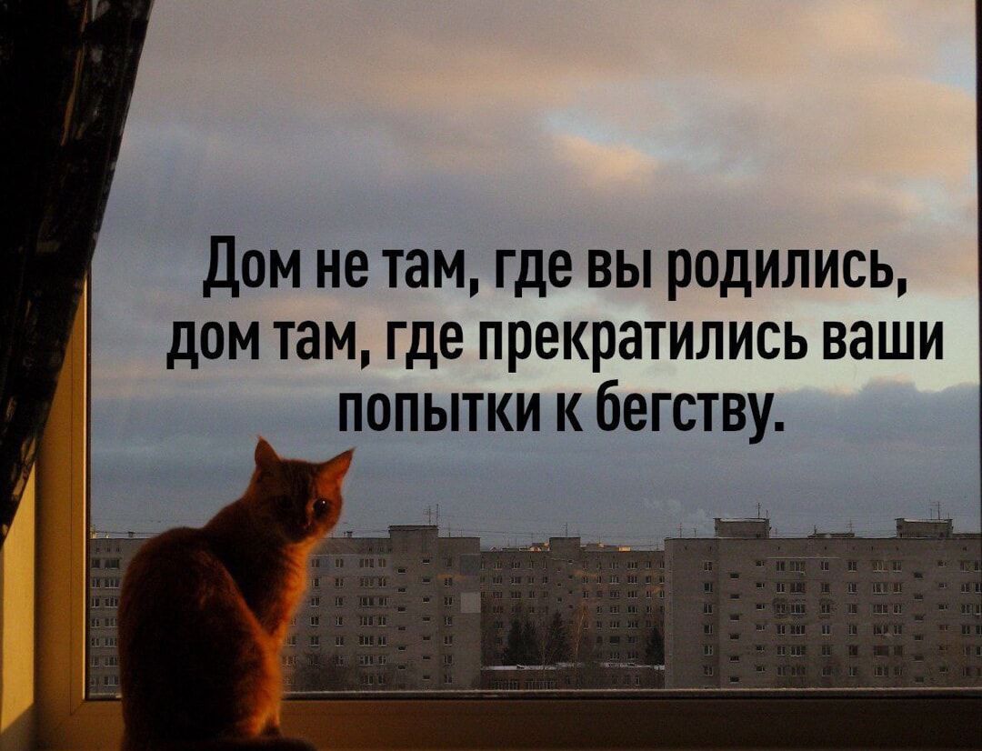 Дом не там, где вы родились, дом там, где прекратились ваши попытки к бегству.
