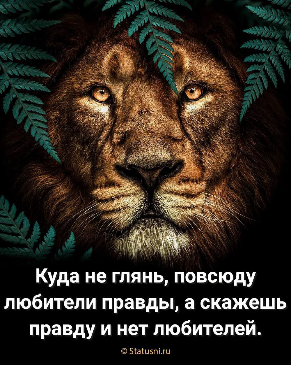 Куда не глянь, повсюду любители правды, а скажешь правду и нет любителей.