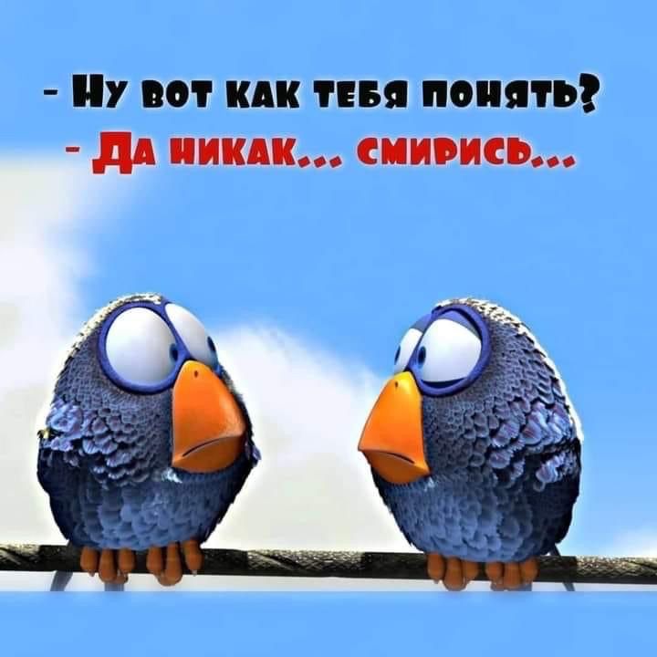 - Ну вот как тебя понять?
- Да никак... смирись...
