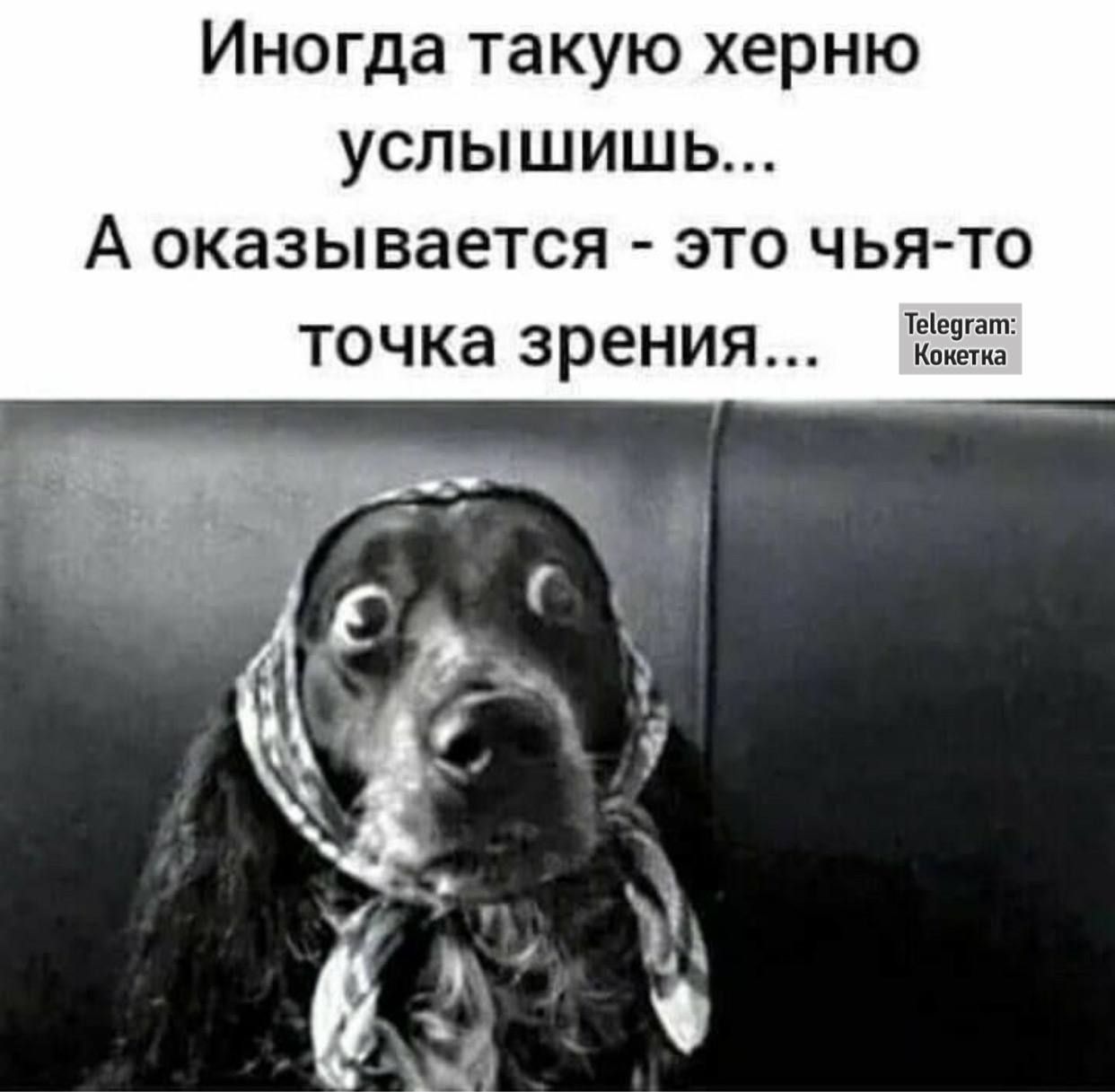 Иногда такую херню услышишь... А оказывается - это чья-то точка зрения...