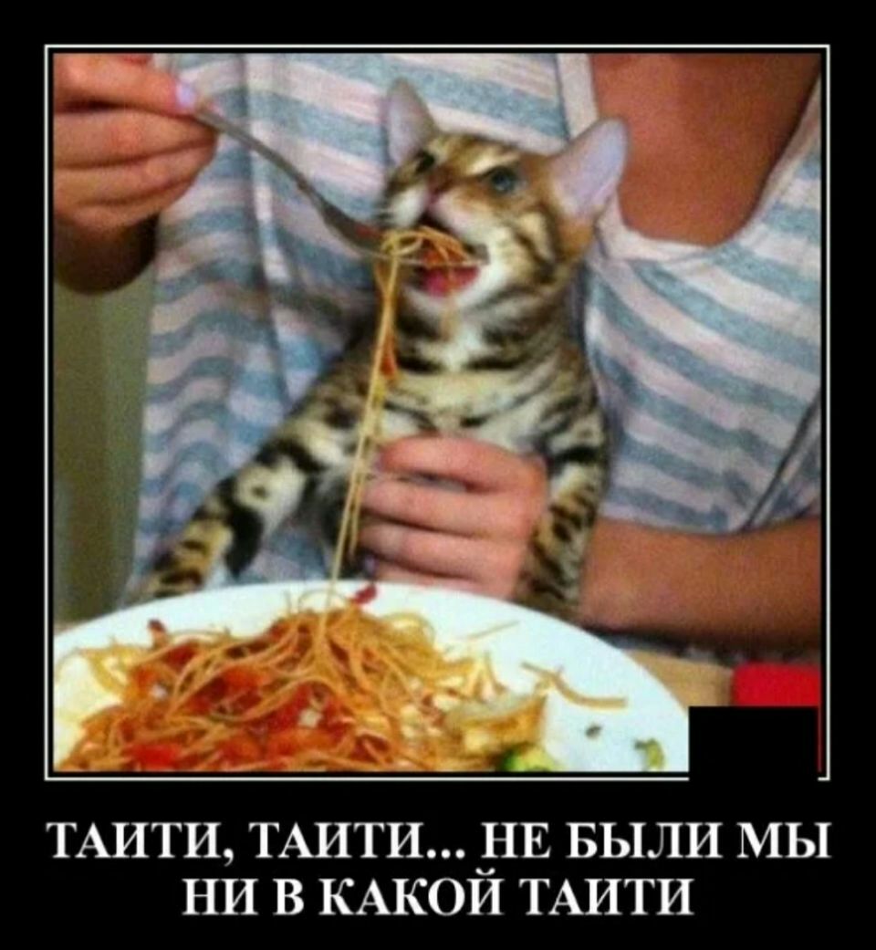 ТАИТИ ТАИТИ ЁЕ БЫЛИ МЫ НИ В КАКОИ ТАИТИ