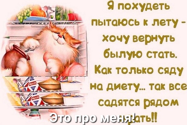 у _ Я похудеть _ _ пытаюсь лету Къ ц хочу вернуть былую стать Как только сяду на диету так все садятся рядом ЕЖ 2 дю при мал щин