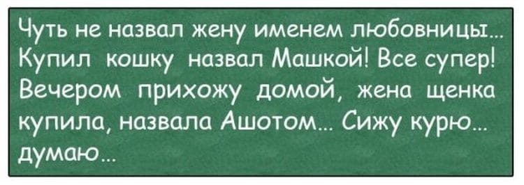 Прихожу домой жена. Жена которая приносит домой. Жена завела собаку назвала Ашотом. Анекдот жена купила кошку и назвала Ашотом. Анекдот жену на вы назвали.