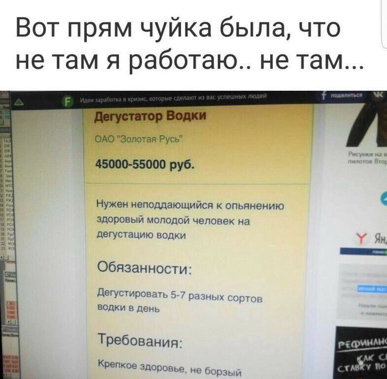 Вот прям чуйка была что не там я работаю не там 0 Золотая Русь 45000 55000 руб Нужен неподдающийся опьянению здоровый молодой человек на дегустацию водки У Ян _ Обязанности _ дегустировать 57 разных сортов водки в день Требования Крепкое шорсвье не борзыи