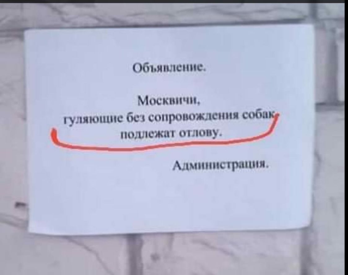 Объявление Москипчп гуляющие бс сапровожлспм соби пошшжш стопу Администрация