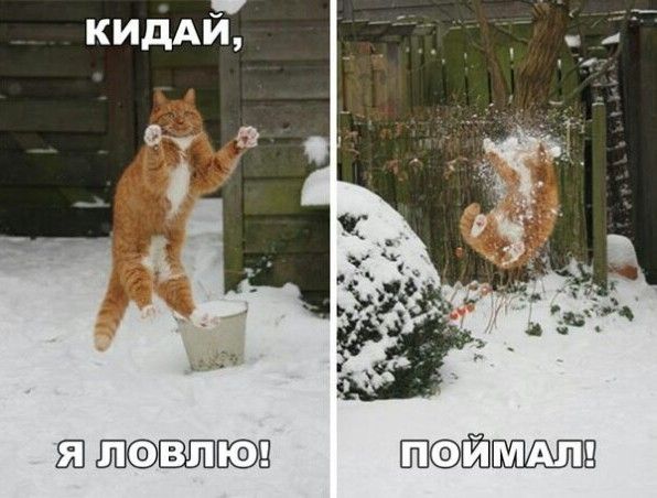 ЕЮ ВЗЭЩ
